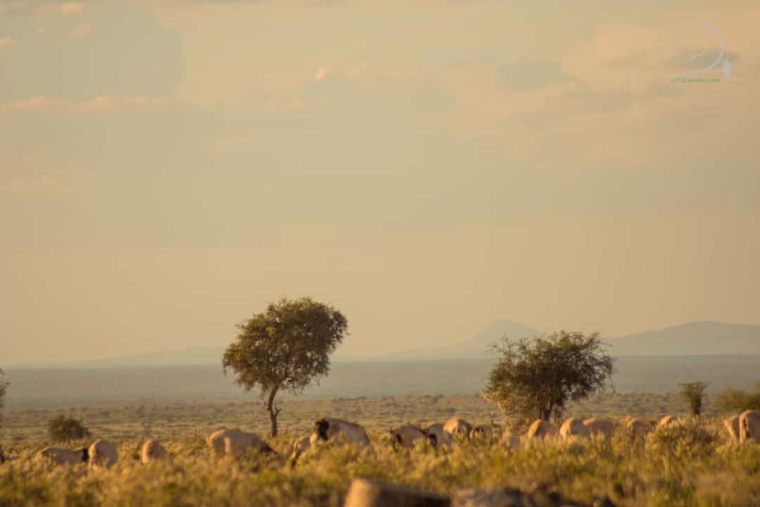 Amanya 3-Bedroom Hut Amboseli Buitenkant foto